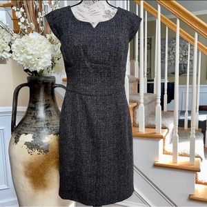 The Limited Sheath Dress Size 6